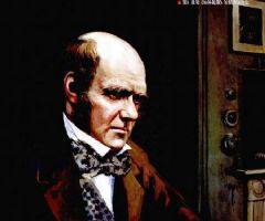 达尔文进化论产生的背景,达尔文生物进化论的主要学说