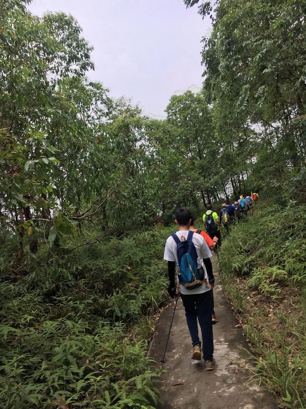 号外号外活动来袭,号外号外活动