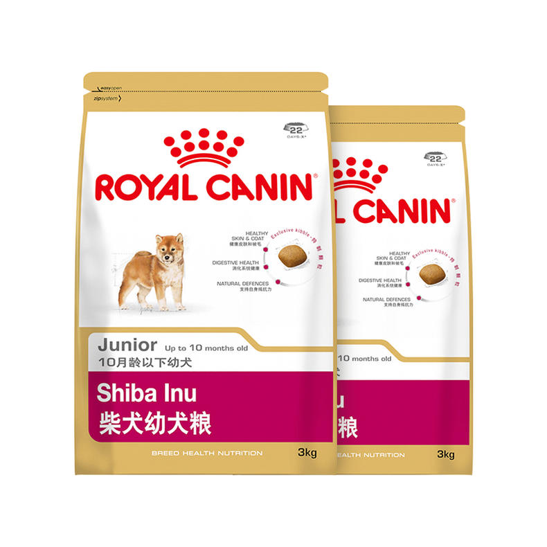 柴柴一岁的成长记录,柴柴性格怎么样