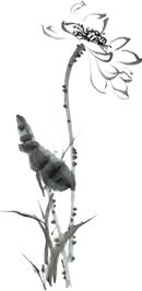 讲好山东故事讲座,讲好山东故事100字