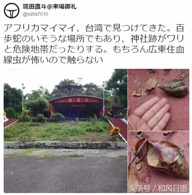 摸一下可能会死？！这个入侵日本的外来物种好可怕！