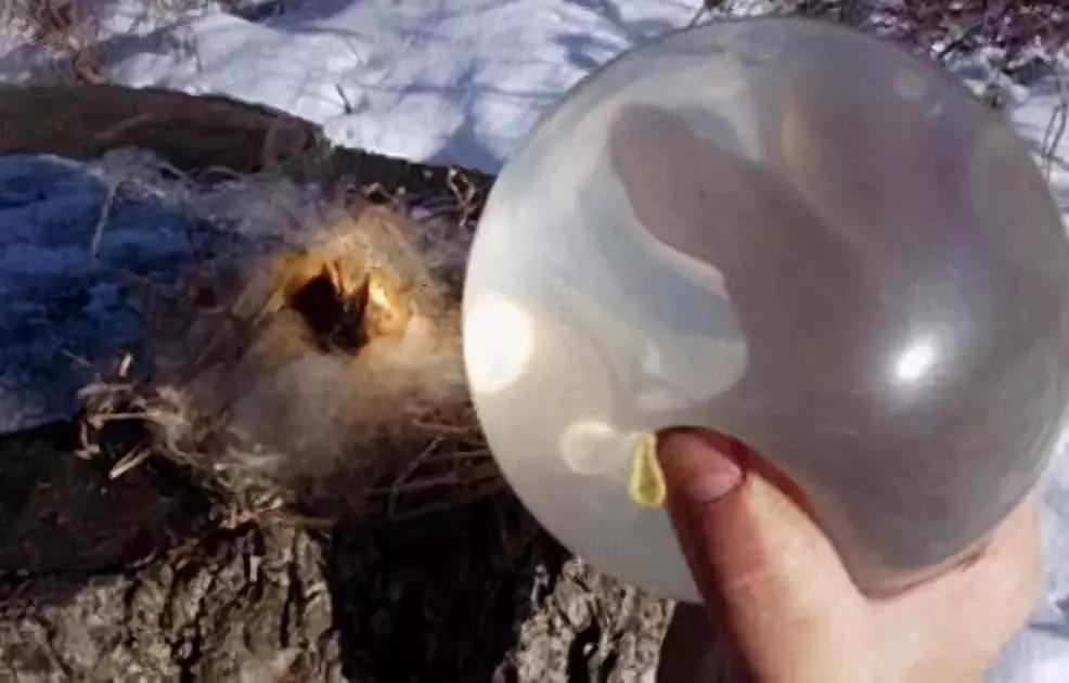 谁也不能阻止一只成精的套套*爱做**做的事