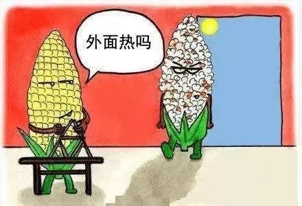 今年河南的天气算是极端天气吗,河南将迎来20c的天气