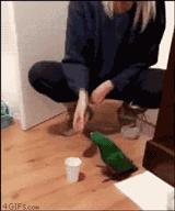 安慰自己不生气的诗,关于不要生气的诗