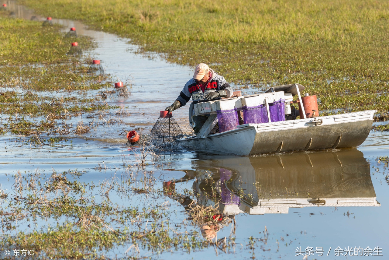 小龙虾外卖送到还好吃吗,良心外卖小龙虾