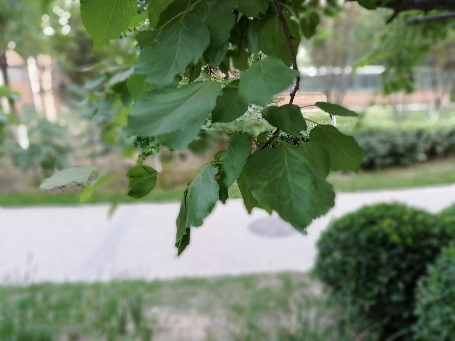 荣耀9i测评2024年值不值得买,荣耀9i千元潮美旗舰