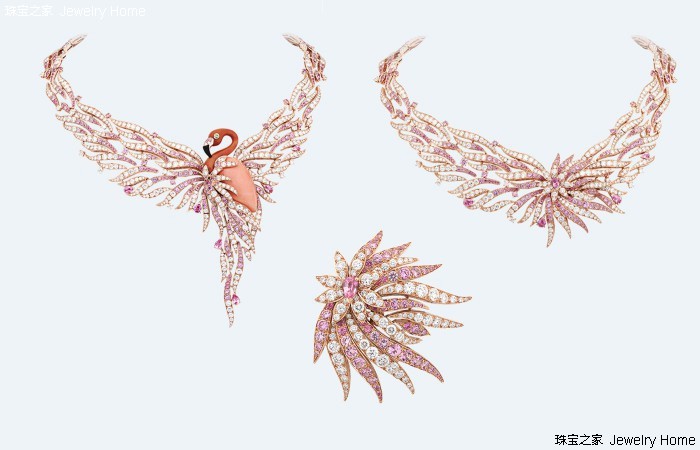 红珊瑚孩儿面,阿卡沙丁momo红珊瑚对比