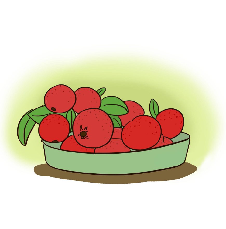 怀孕以后食物不好,怀孕后哪些美食不能吃