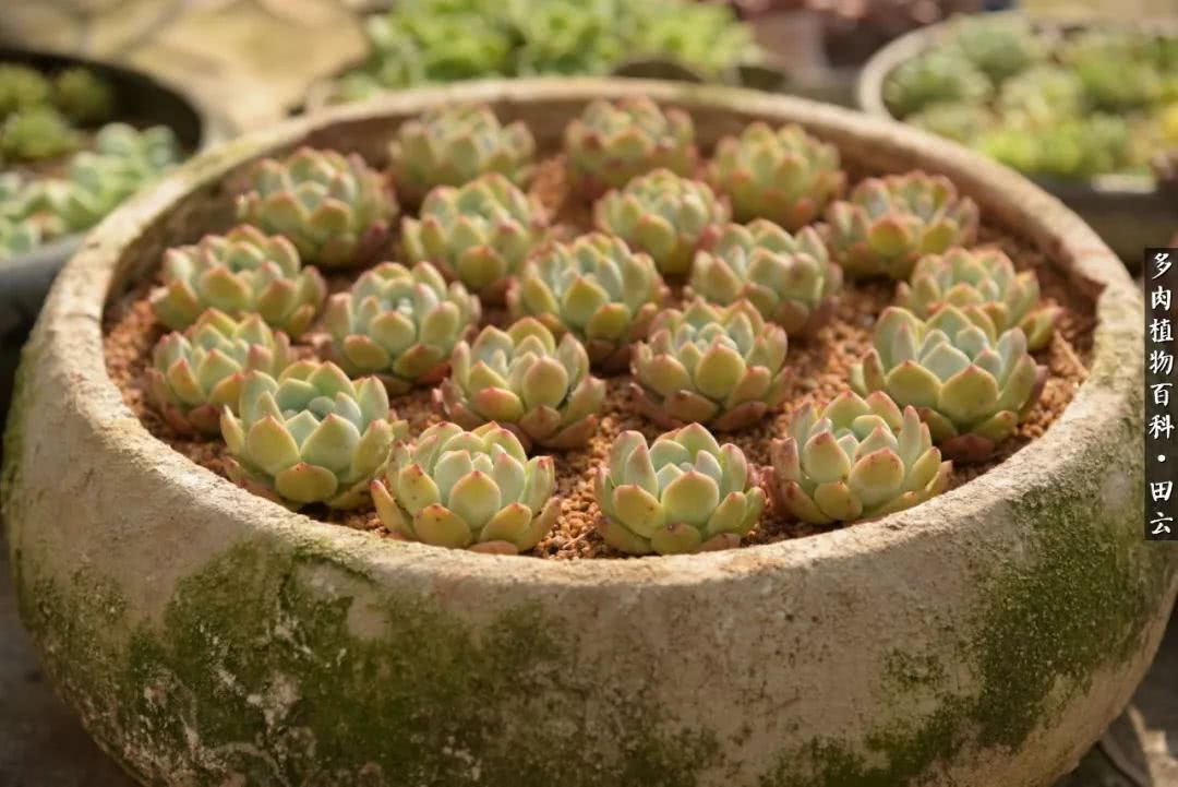 推开世界的门和自己和解,推开世界的门你所看到的风景