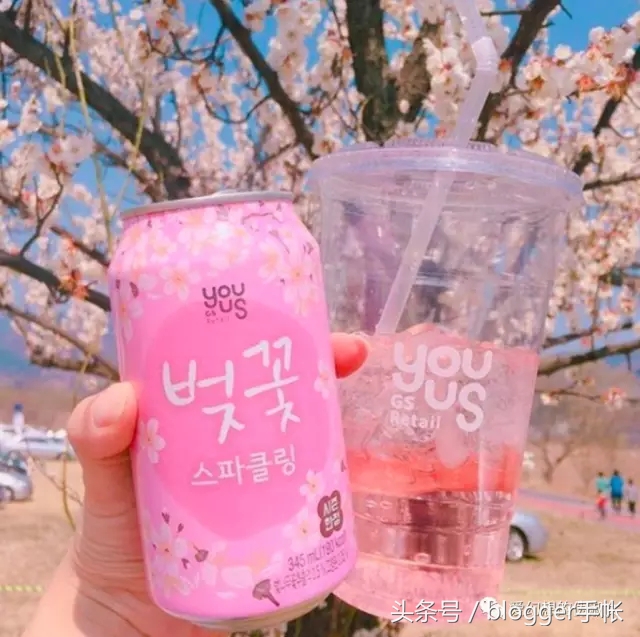 赏樱花的季节赏美人,赏樱的烂漫时节