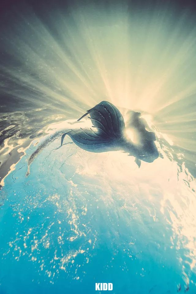 玩客说丨这里有一张东方“海盗”的藏宝图