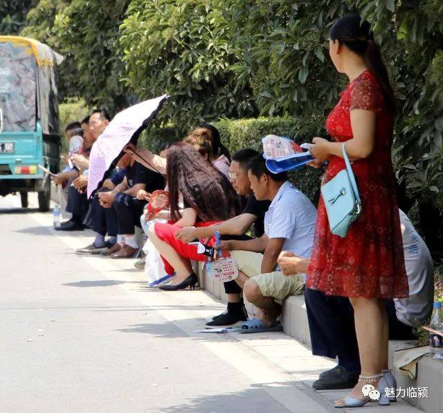 临颍高考,河南高考临颍