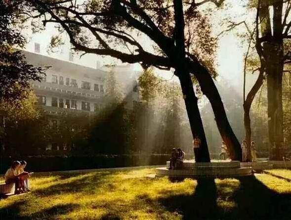 在中关村北大青鸟大学生新晋职场之华丽蜕变