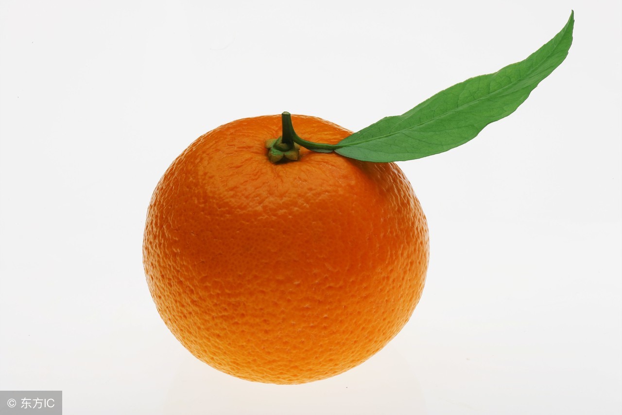 学英语新方法视频教程,英语如何学会语法和锻炼口语