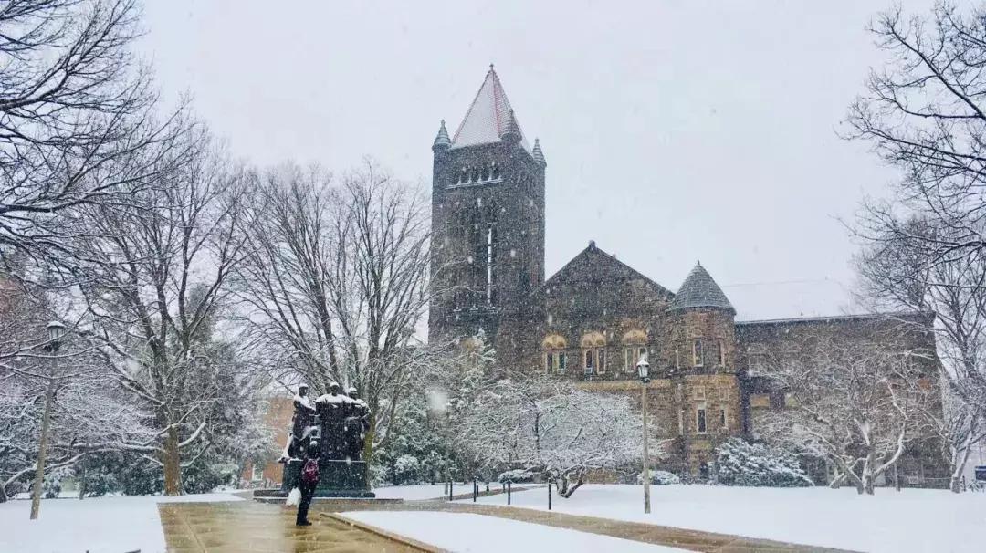 moreart艺术怎么样,moreart艺术展