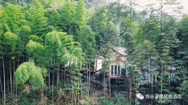 绵阳50元包吃住的民宿,绵阳禅茶清谷民宿哪家好