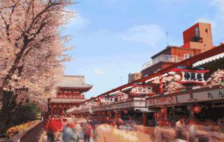 去日本购物必买清单攻略,去日本必买的十大购物清单