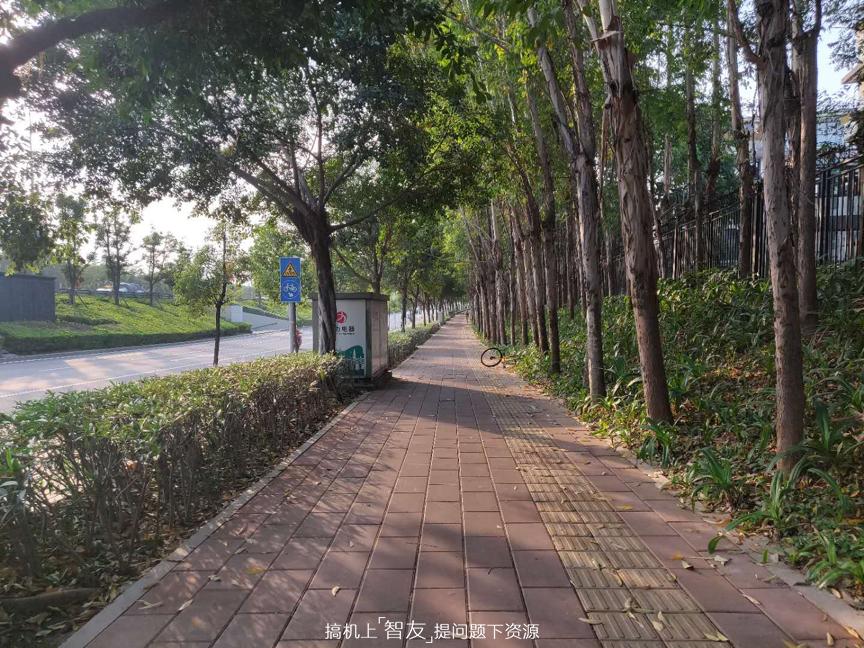 摄影续航-全速旗舰一加6测评：西装暴徒，脱下西装它隐藏着什么？