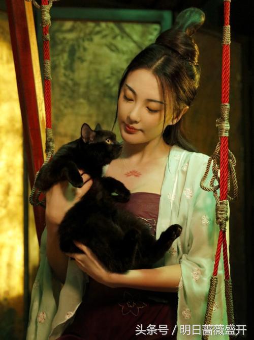 张雨绮为啥叫社会姐,社会姐无水印素材