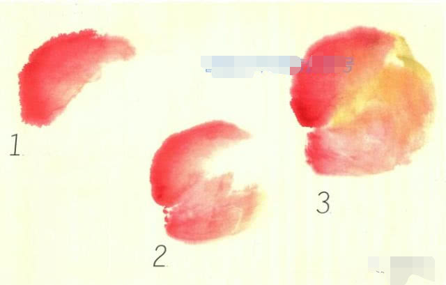 简单国画教程零基础入门植物,国画蔬果茄子与苦瓜的画法