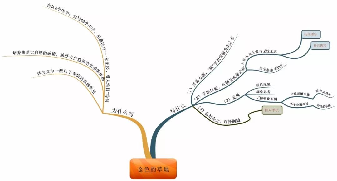 三年级语文1-4单元思维导图大全,三年级语文第一单元思维导图8k纸