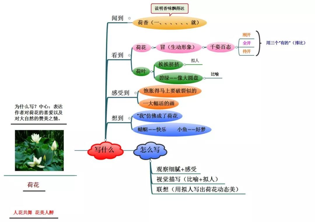 三年级上册语文思维导图模板空白,三年级语文第一单元思维导图8k纸