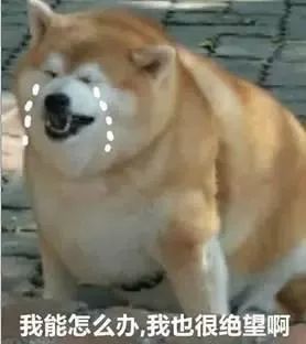 最近香港代购抓得紧吗,香港最新代购政策