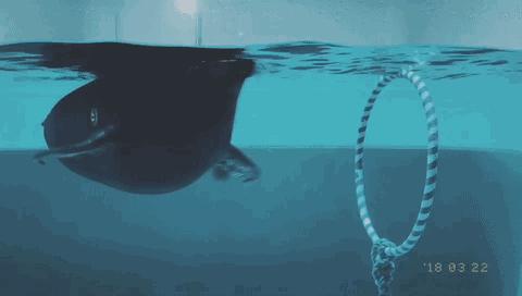 日本十大顶级宝库,日本隐藏的宝藏