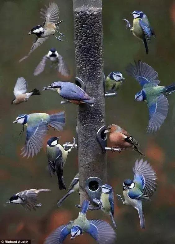 刚拍的你从未见过的集体照,史上最全的集体照