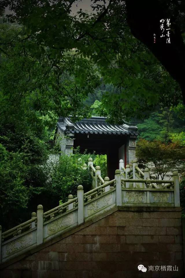 落叶禅意故事,一片树叶的禅意故事