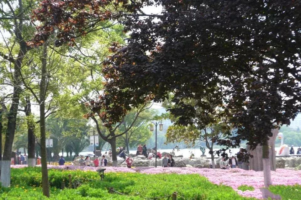 昆明国庆假期自驾游攻略,五一昆明最适合去的地方