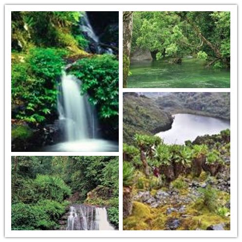 年货精选分享,年货精选30本哲学好书