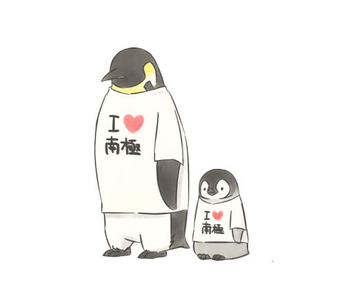 震惊正宗海参竟卖这么低的价格,海参价格良心到爆