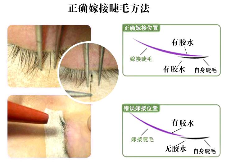 睫毛精秘诀,日常最简单睫毛变多密方法