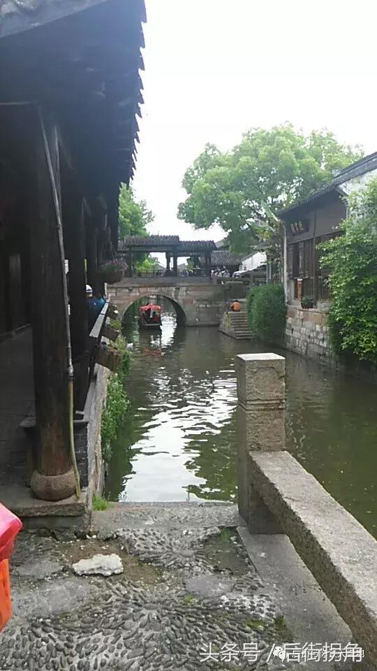江南古镇简介,枫泾古镇一日游攻略