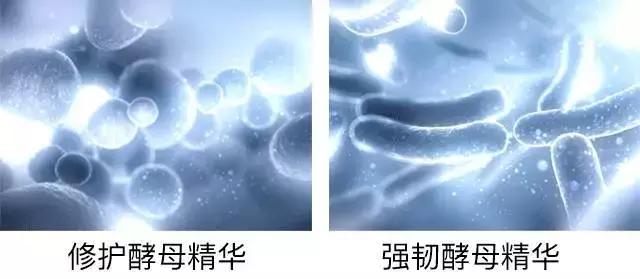 眼霜推荐男孩,眼霜推荐男生真实