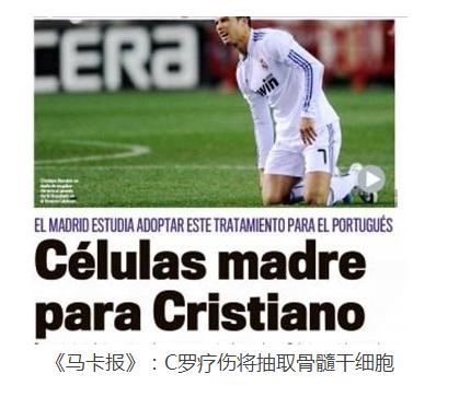 足球饕餮盛宴,世界杯足球冲突名场面