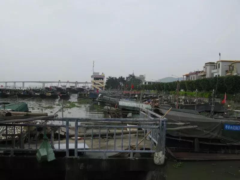 番禺区篮球村级赛在哪里打,广东番禺城区篮球比赛