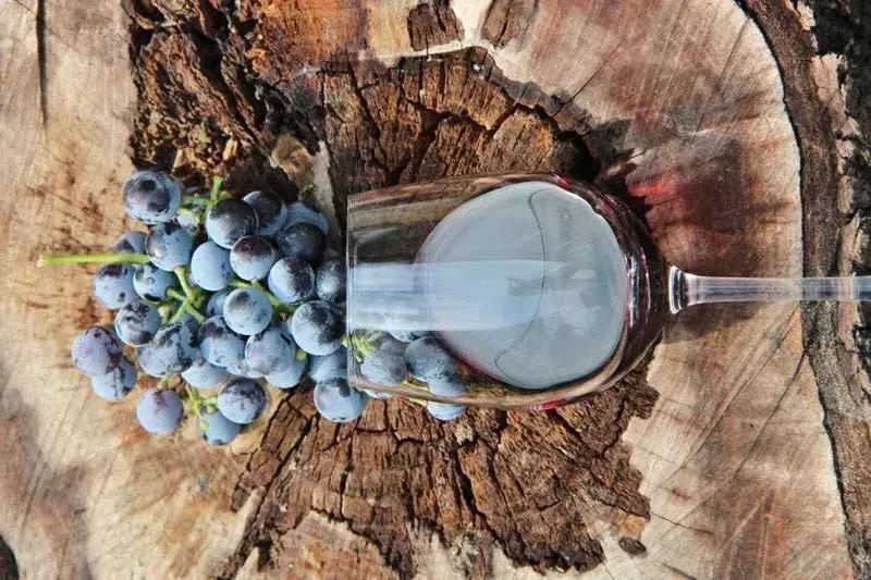 葡萄酒为什么一定要橡木桶,橡木桶葡萄酒的优缺点