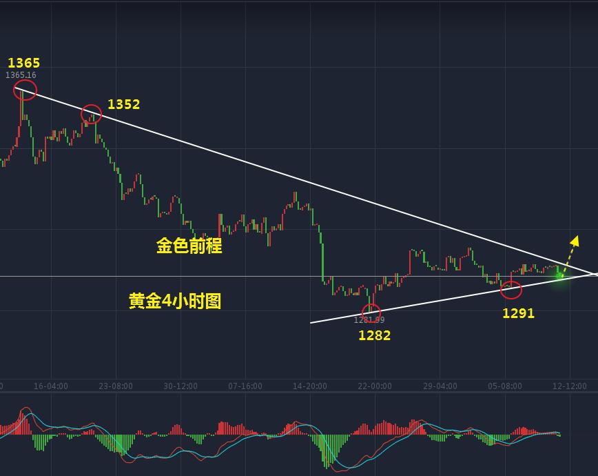 金色前程黄金,金色前程临沂