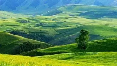 疆内春季风景,疆内美丽旅游景点