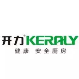 厨电行业最具影响力十大品牌,中国厨电百强品牌有哪些