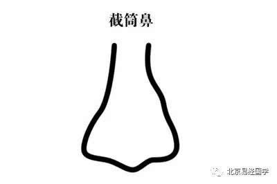 鼻子下垂的鼻相,什么样的鼻子是好鼻相