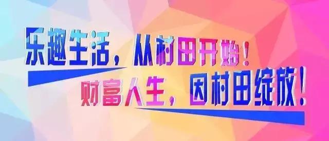 村田厨卫属于哪个档次,村田厨卫新会