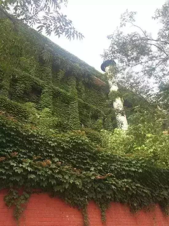 郑州适合夏天玩的旅游景点,郑州夏天旅游景点推荐