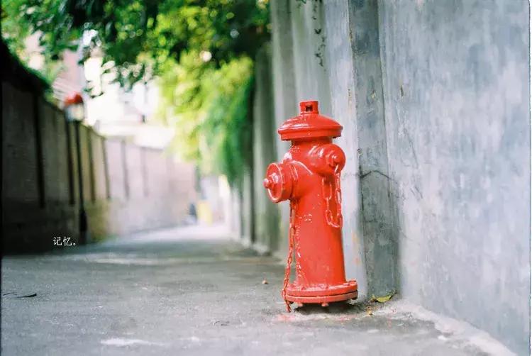 这个夏天总要来一趟浪漫的厦门,这个夏天再和你去一次厦门