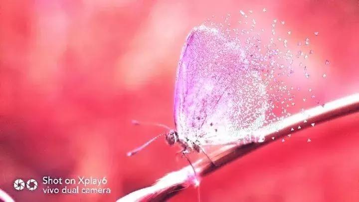 手机广角微距镜头如何使用,手机外接鱼眼镜头