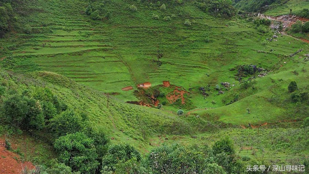 深山寻味｜远赴镇康，遇见一个不一样的木场乡