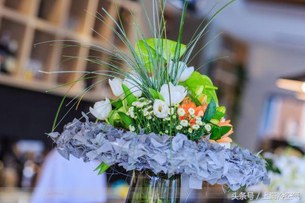 在向往的城市生活,启东向往的生活