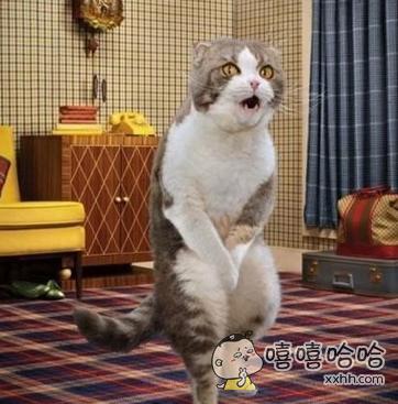 尿急的你就是这样的2018-06-12